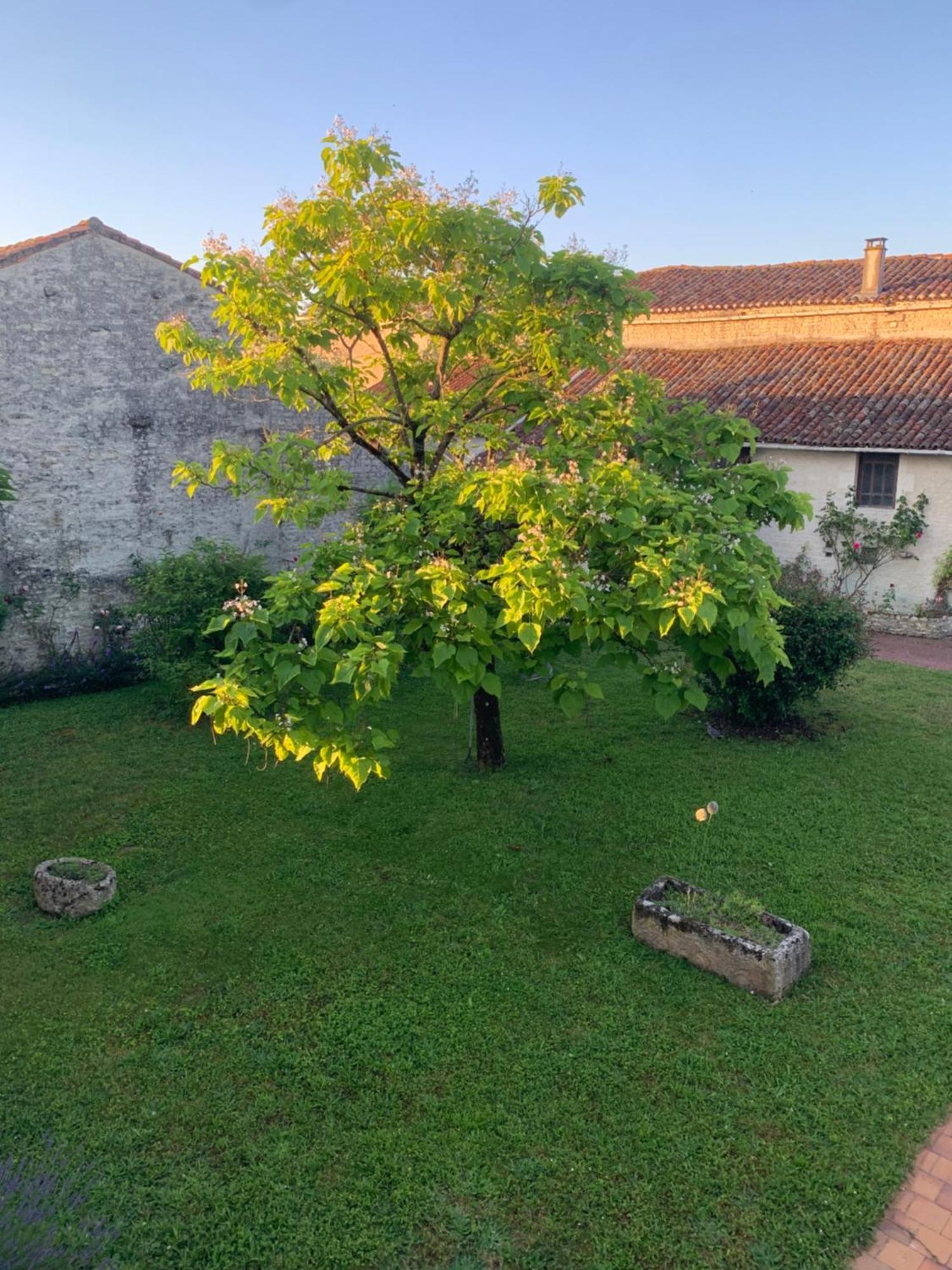 The Cool Lounge A Coulonges - Charente Bed and Breakfast Εξωτερικό φωτογραφία