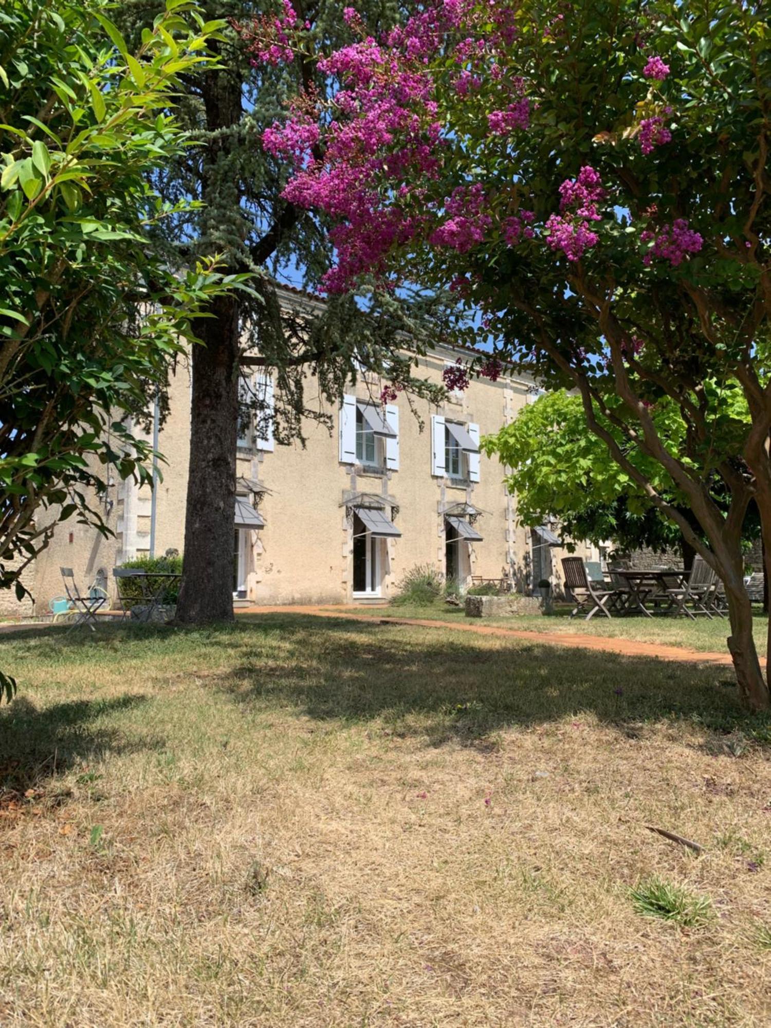 The Cool Lounge A Coulonges - Charente Bed and Breakfast Εξωτερικό φωτογραφία