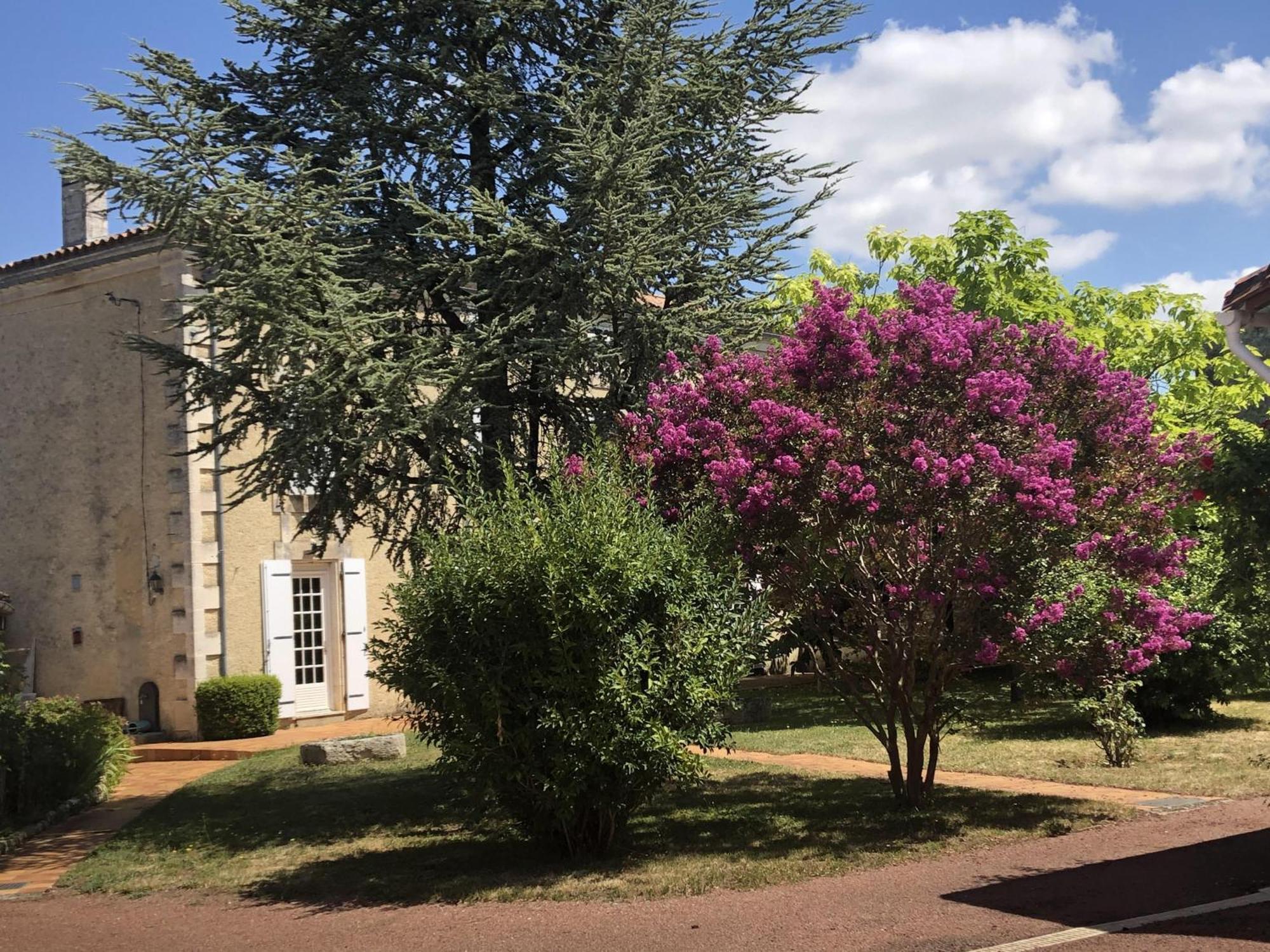 The Cool Lounge A Coulonges - Charente Bed and Breakfast Εξωτερικό φωτογραφία
